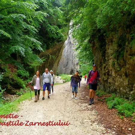 Nea Marin Villa Măgura